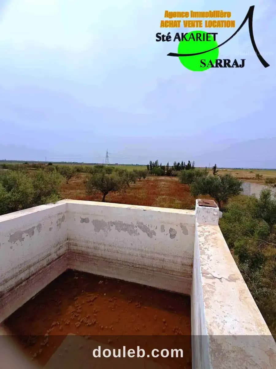 Senia cloturé 2 hectares à kalaa kebira baloum - Miniature 2