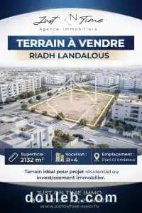 Terrain riadh landalous ref292a - Photo 1