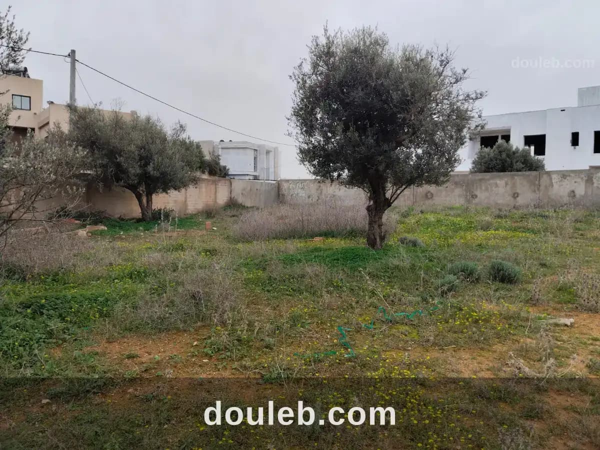 Borj youssef vnt ter 2000m2 - Photo 1