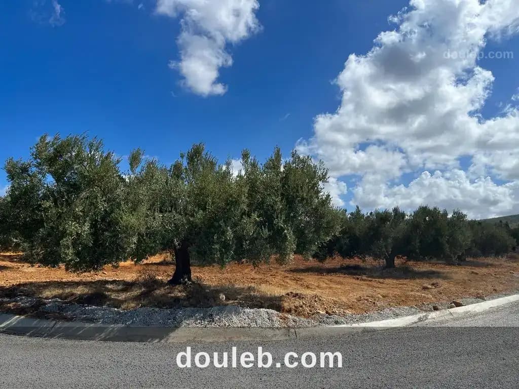 Terrain agricole pour investissement maison d hote - Miniature 4
