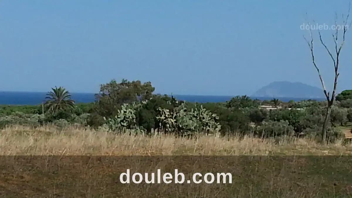 Terrain agricole pour investissement maison d hote - Miniature 5