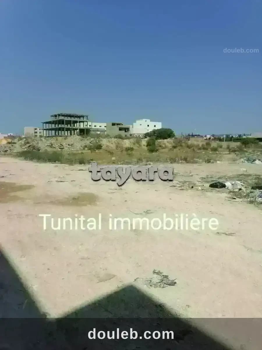 Bonne affaire à ne pas rater - Miniature 3