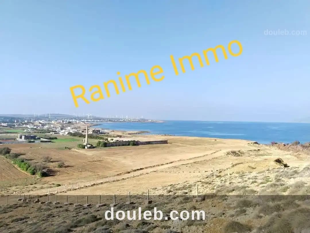 Lots de 250m2 300m2 500m2 a la mer - Miniature 5