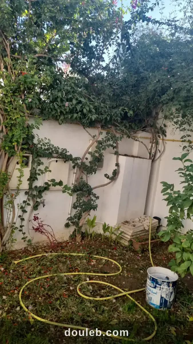 Duplex dar fadhal soukra - Miniature 4