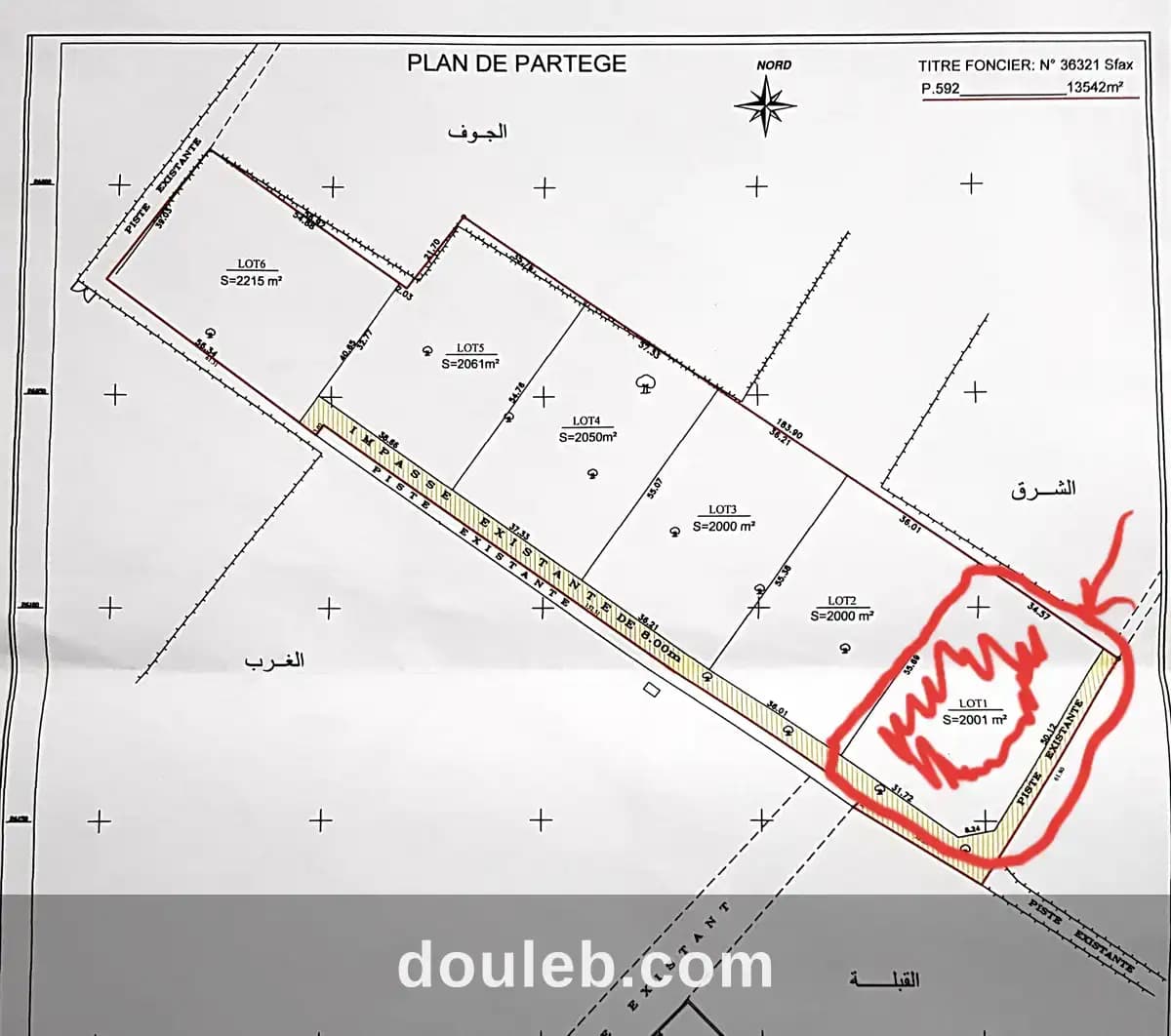 Terrain rectangulaire - Miniature 2
