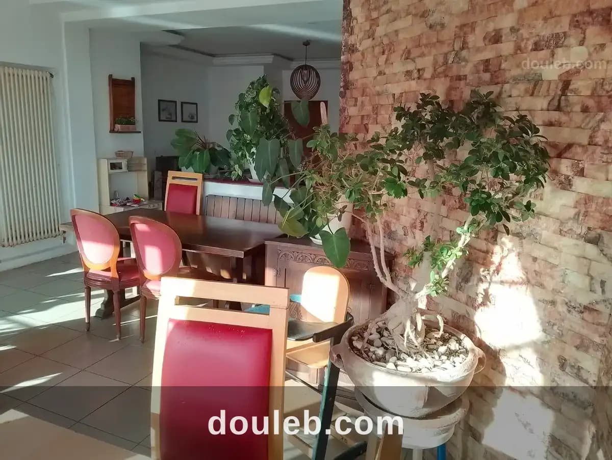 Borj cedria vnt fc et mur café restaurant - Miniature 3