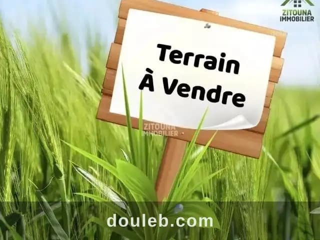 Bonne opportunité - Miniature 2