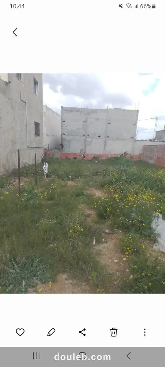 Indépendante maison spacieuse hammamet - Photo 1