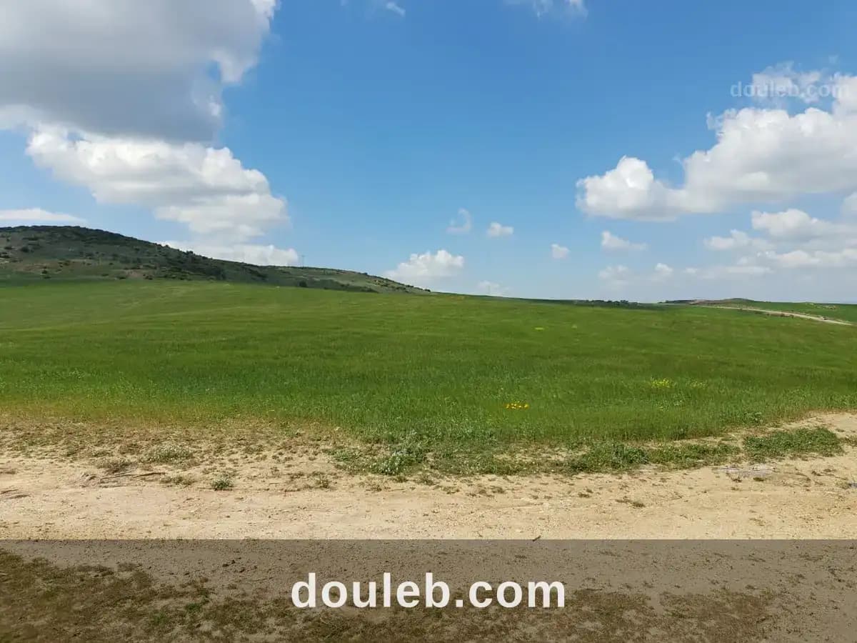 Terrain agricole - Photo 1