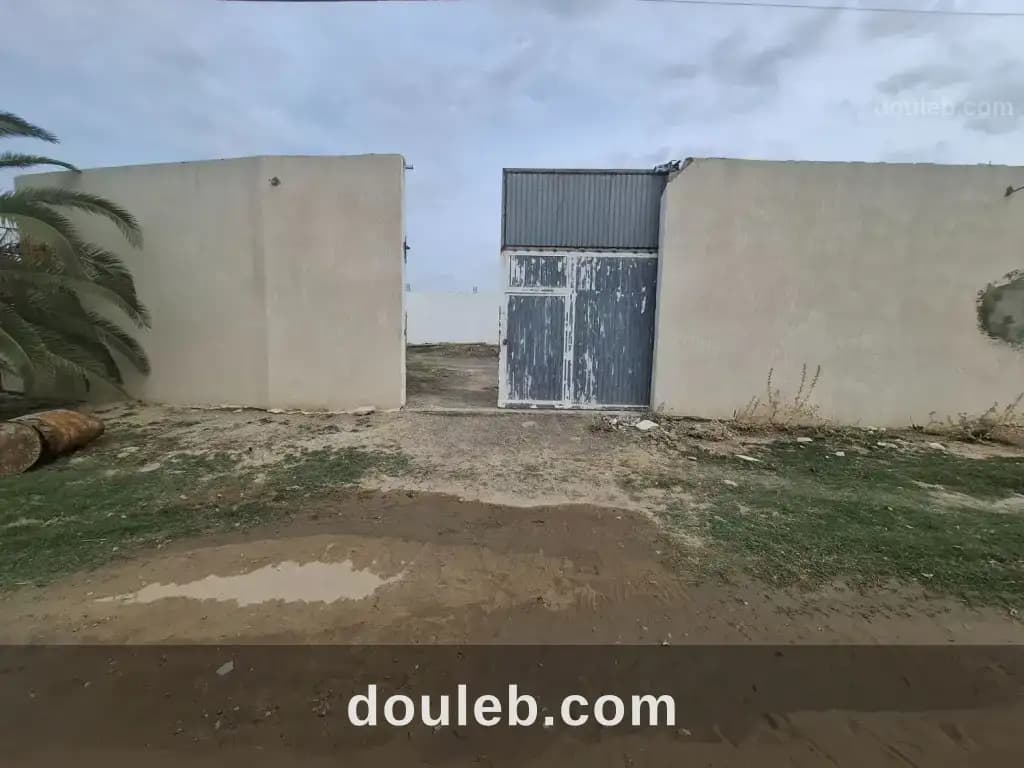 Dépôt 1000 m2 à oudhna - Photo 1