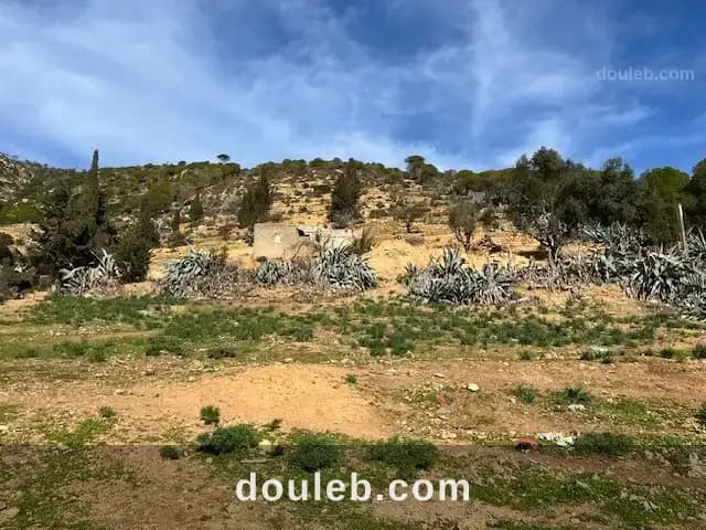 85dt m2 vieux port de ghar el meleh - Photo 1
