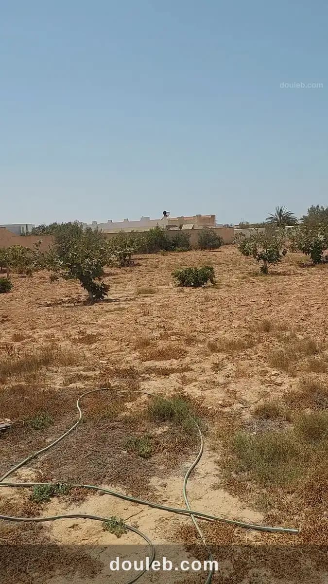 Terrain cloturé de 3900 m2 avec permit de batir - Photo 1