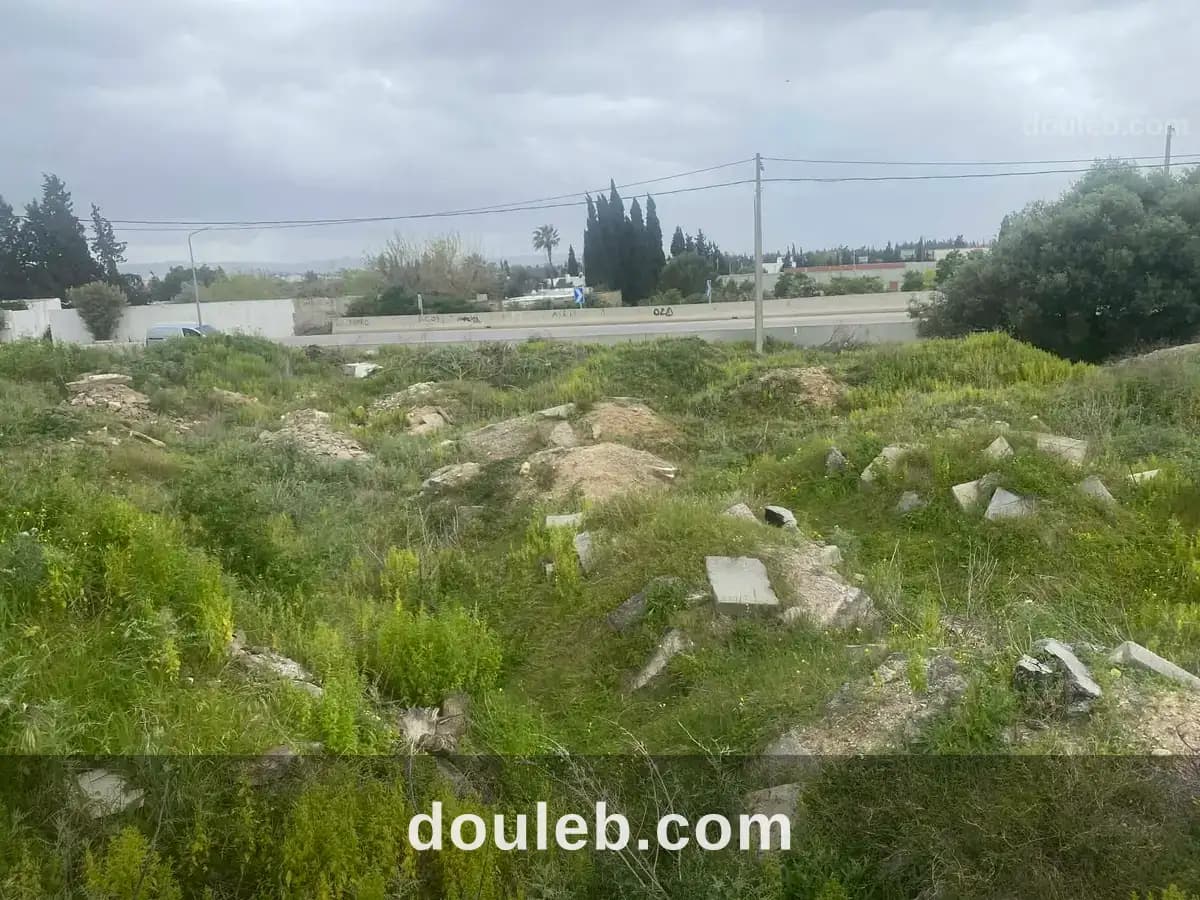 Prés de tout - Photo 1