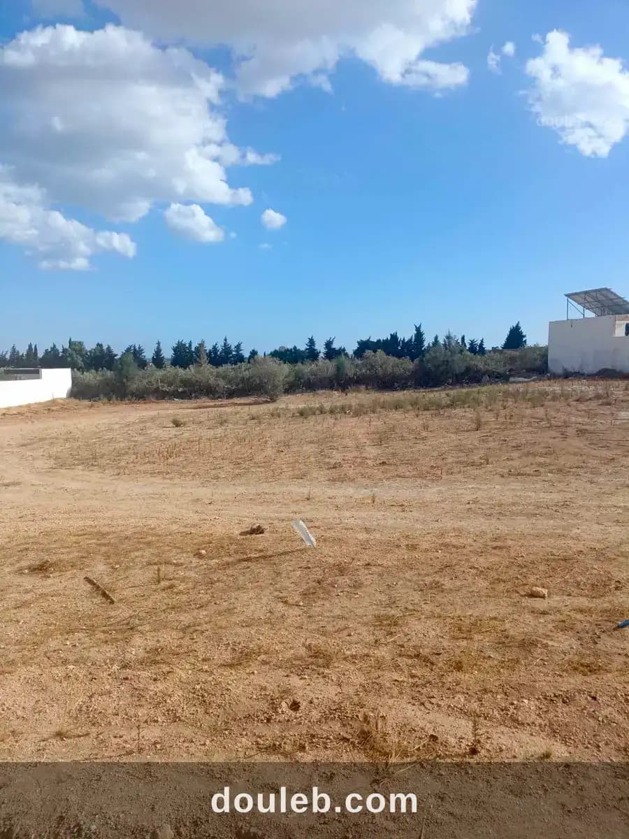 Av terrain de 600m à hammamet sud - Photo 1