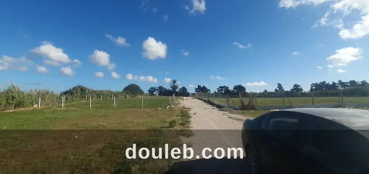 200m2 a tomzrate kelibia seulement a 24000 dt - Photo 1