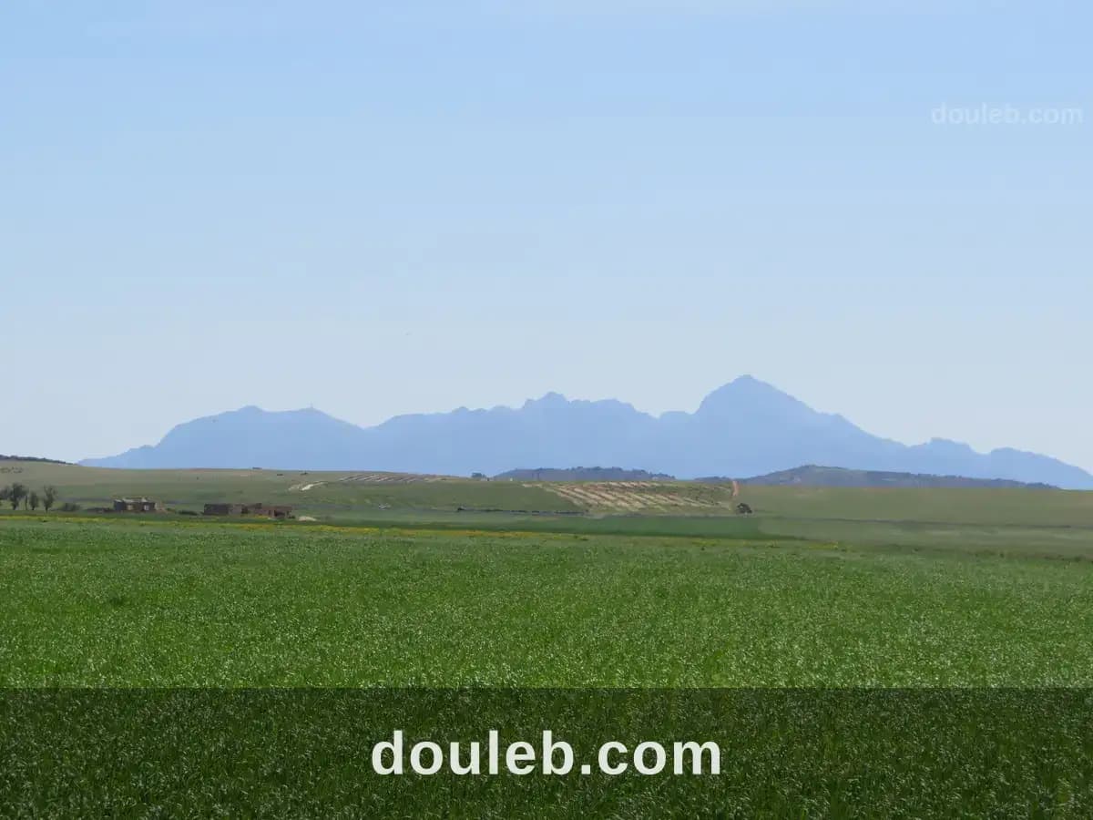 22 hectare terrain plat et fertile - Miniature 2