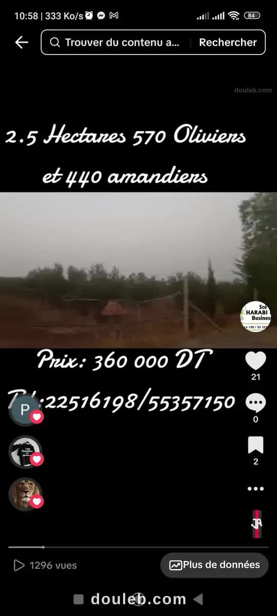 Terrain 570 oliviers et 440 amandiers - Miniature 5