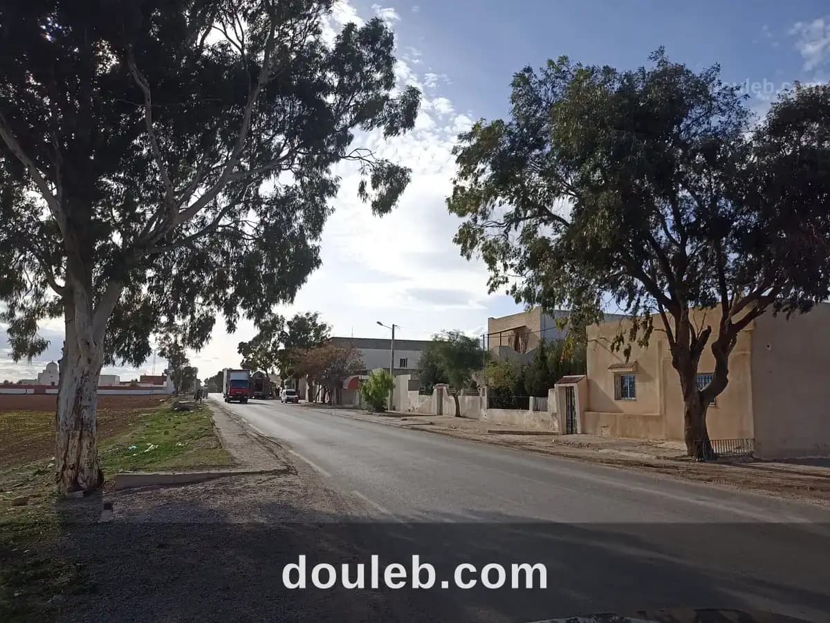 14 hectares a 33 km de tunis - Photo 1