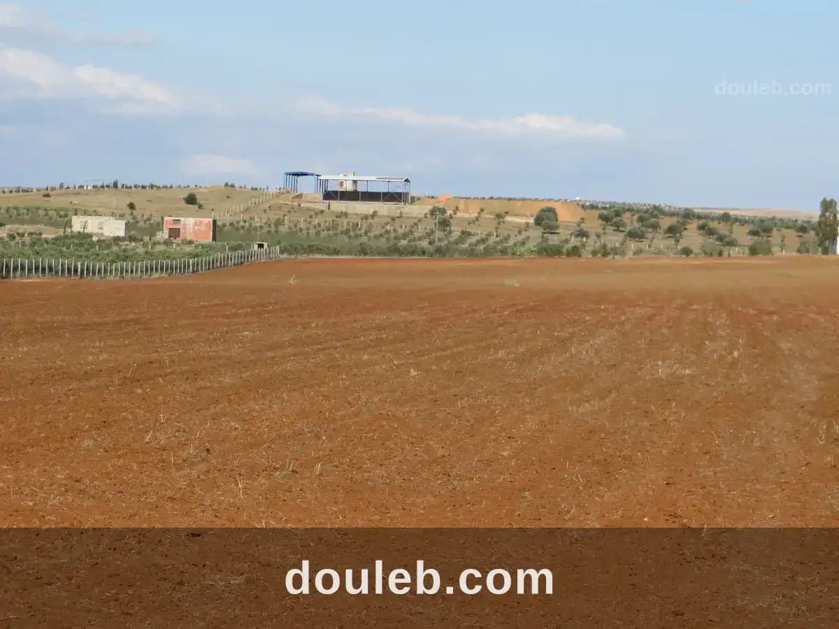 2 hectares sur la route goudronnée à 48km de tunis - Miniature 2