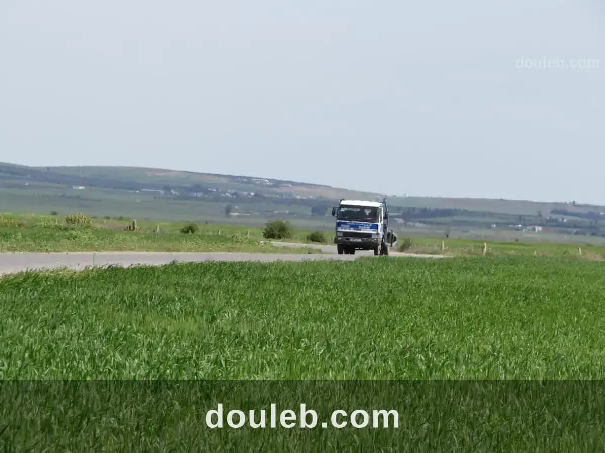 Excellente 22 hectares plat - Miniature 3