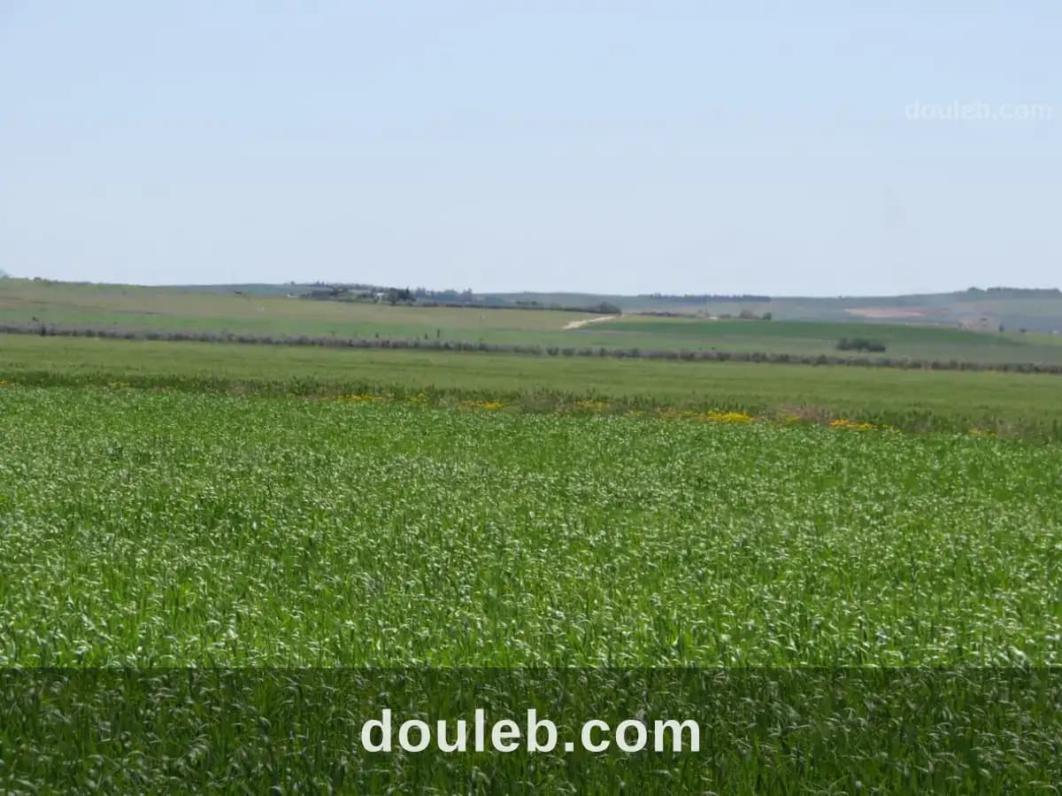 Excellente 22 hectares plat - Miniature 5