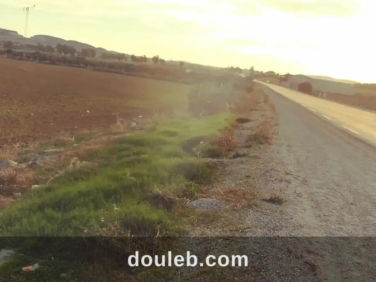 3 hectares 7000m2 nu a ain el asker - Miniature 5