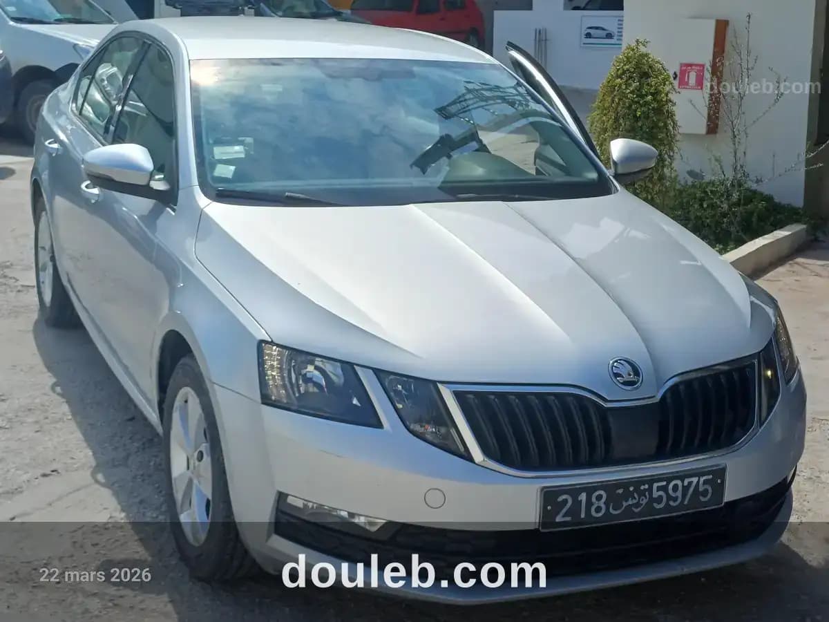 Skoda octavia 2l tdi tres bon etat - Photo 1