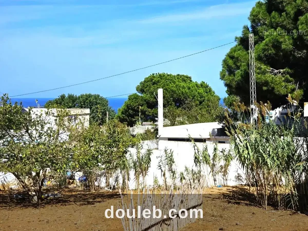 Terrain 500 m2 a rafraf plage lahmeri - Miniature 3