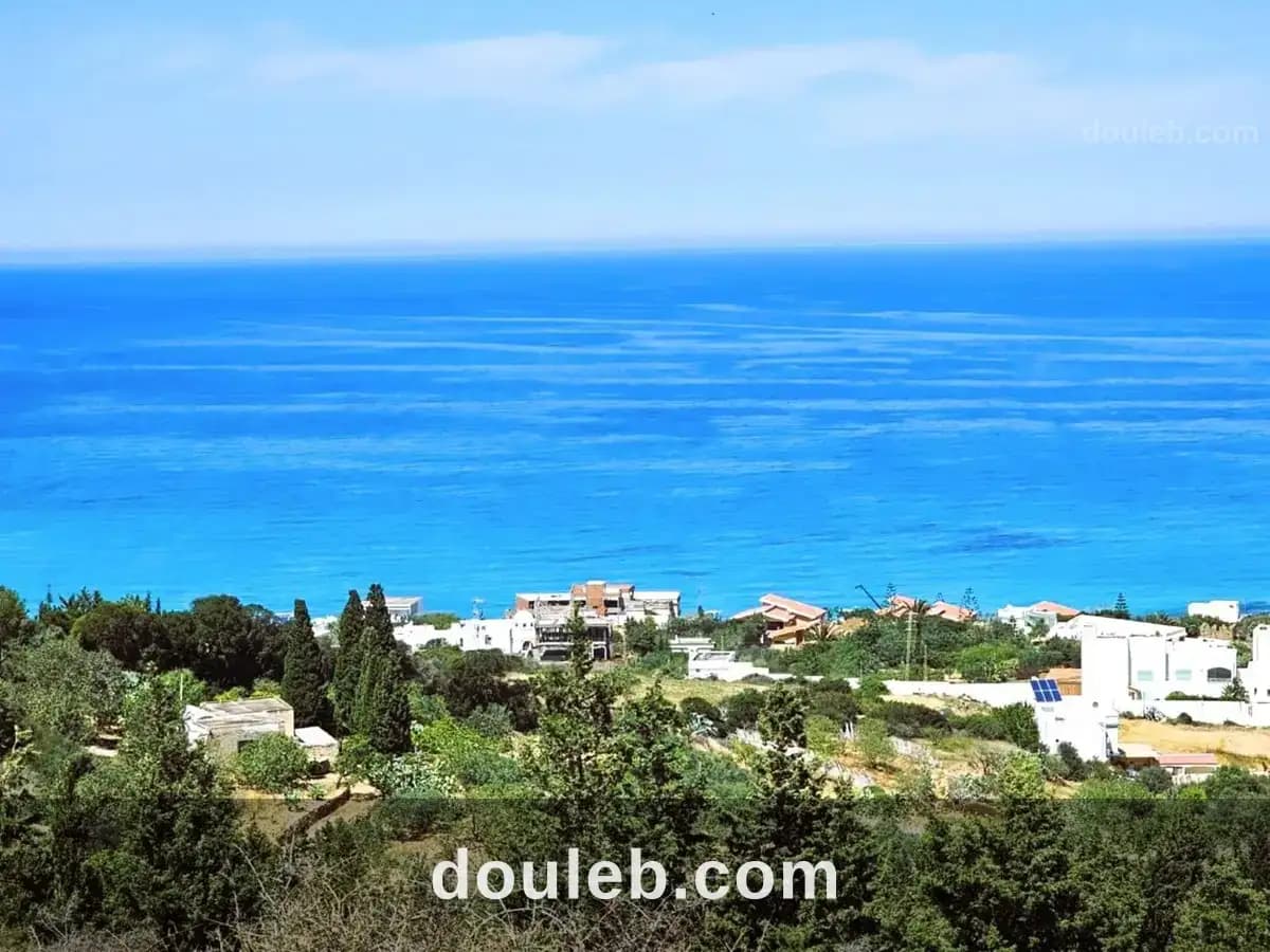Terrain 1900 m2 a rafraf plage - Miniature 3