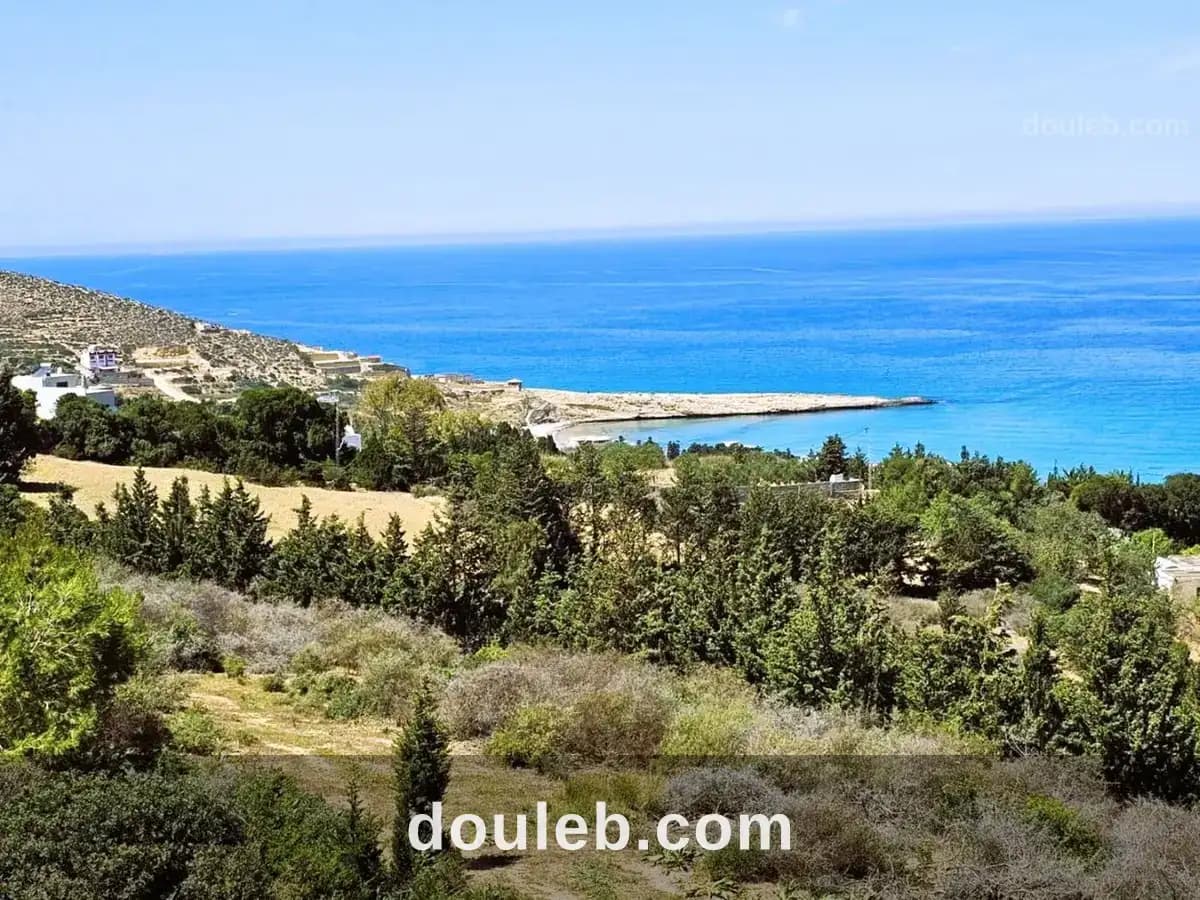 Terrain 1900 m2 a rafraf plage - Miniature 4