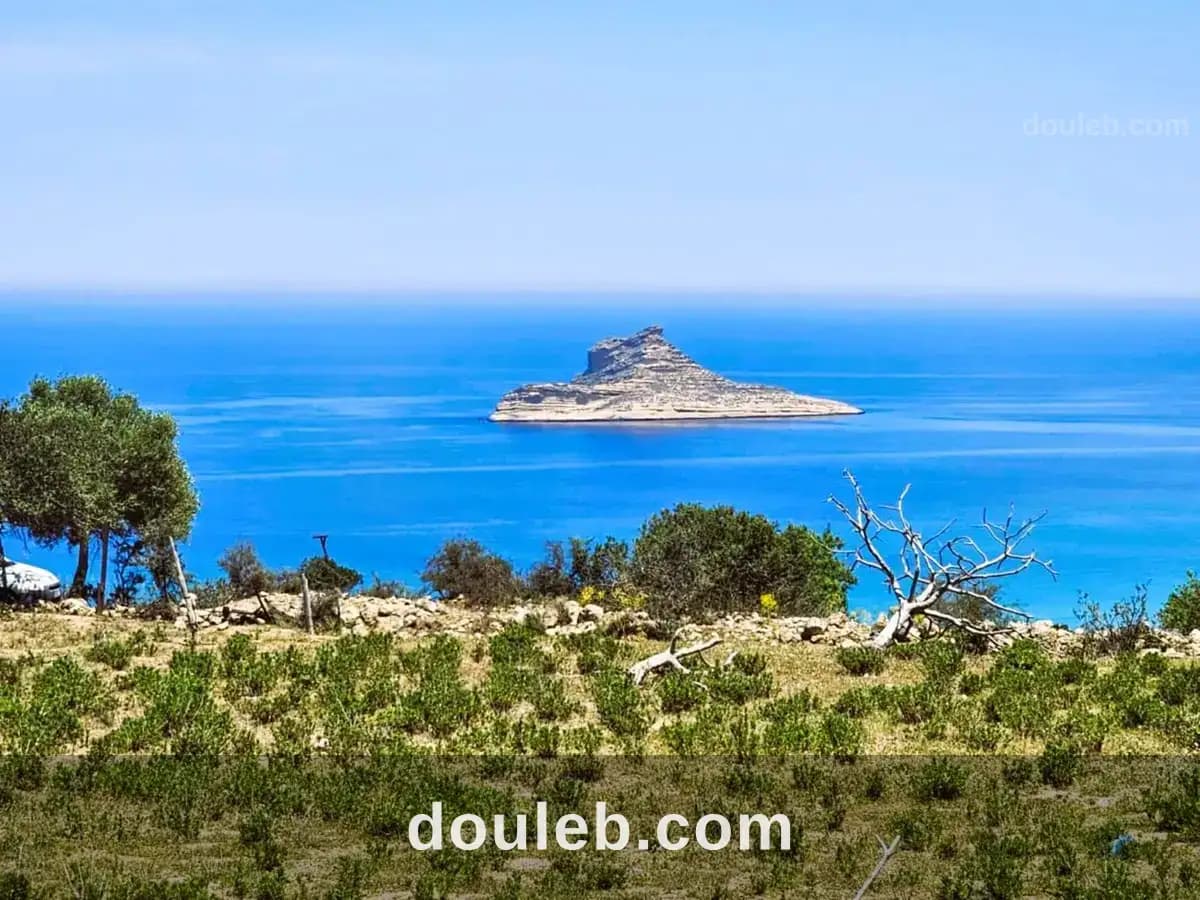 Terrain 2500 2 sur les hauteurs de rafraf - Photo 1
