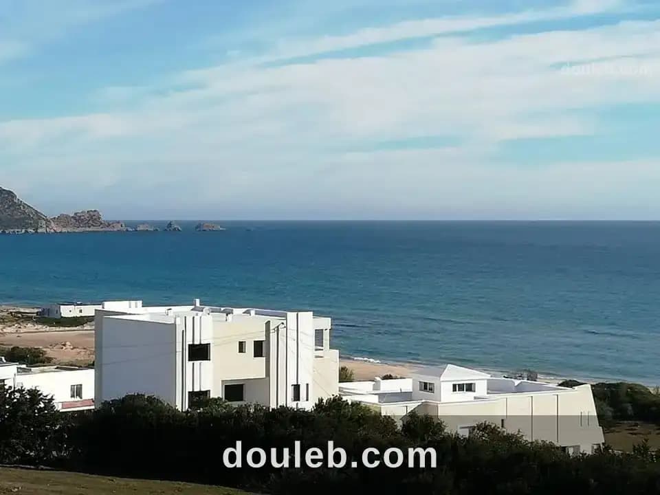 Des terrains a tamezrat kélibia - Photo 1