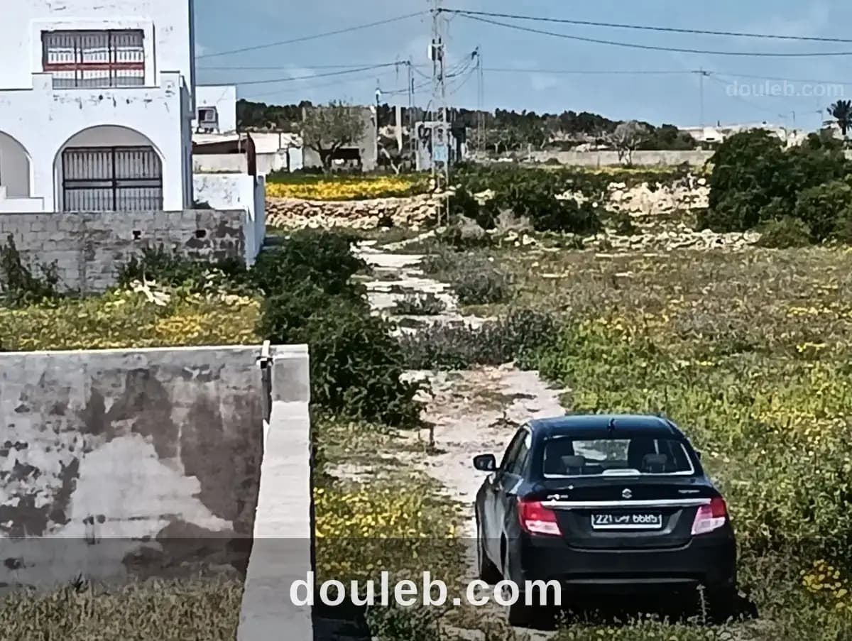 Des terrains a manzel horr - Photo 1