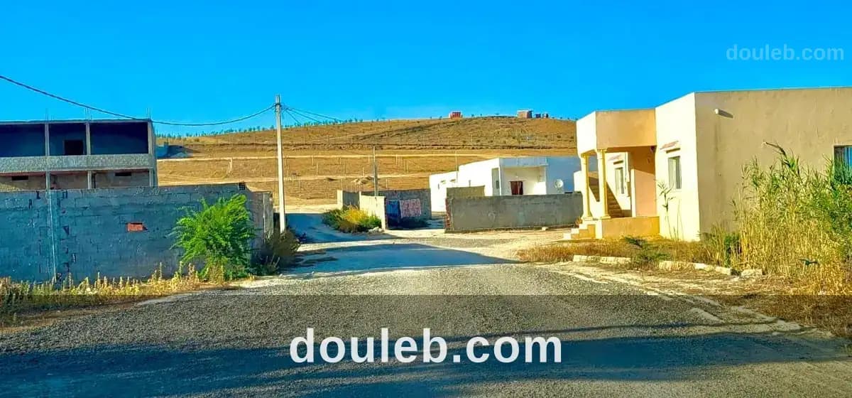 Terain a sidi thebet ariana - Photo 1