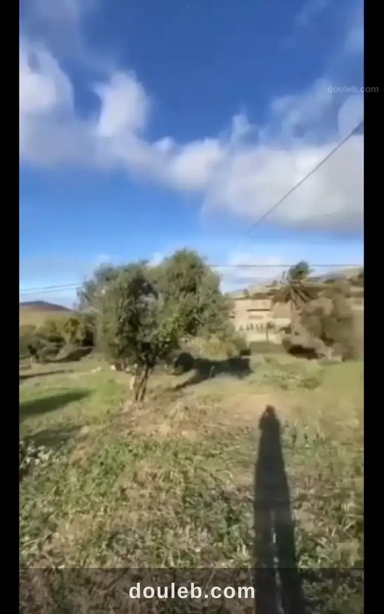 Opportunité à fajah - Miniature 2