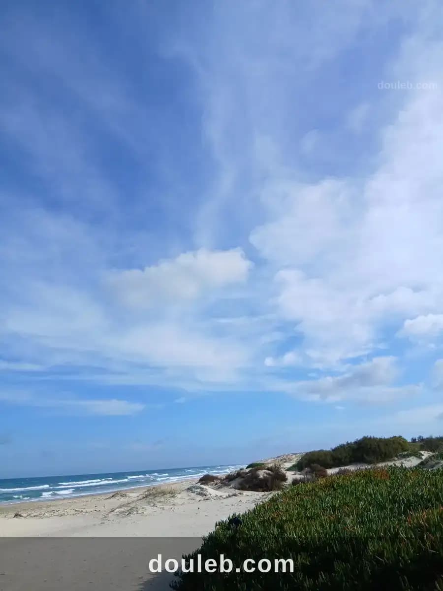 Maison s 2 terrain 310 m 2 route plage - Miniature 4