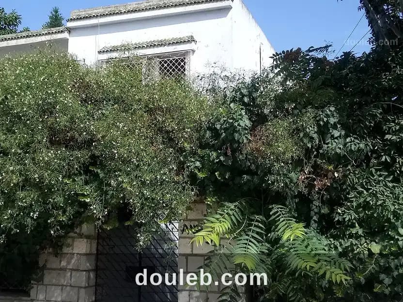 Maison s plus 3 à bardo - Photo 1