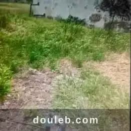6 hectares goutte a goutte - Photo 1