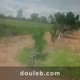 6 hectares goutte a goutte - Miniature 5