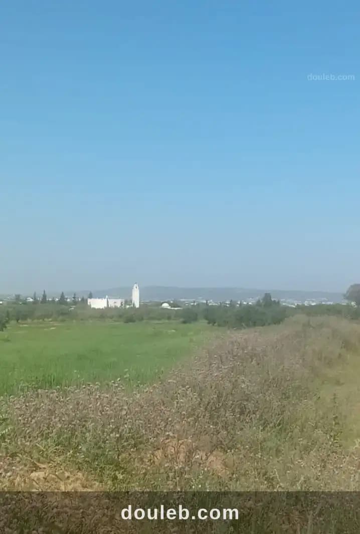 Av beau terrain de 1000m à hammamet sud - Miniature 2