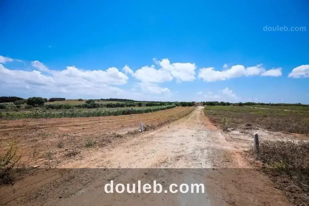 Terrain à sousse - Photo 1