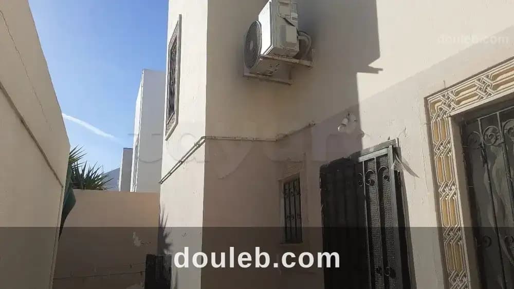 Duplex ariana - Miniature 5
