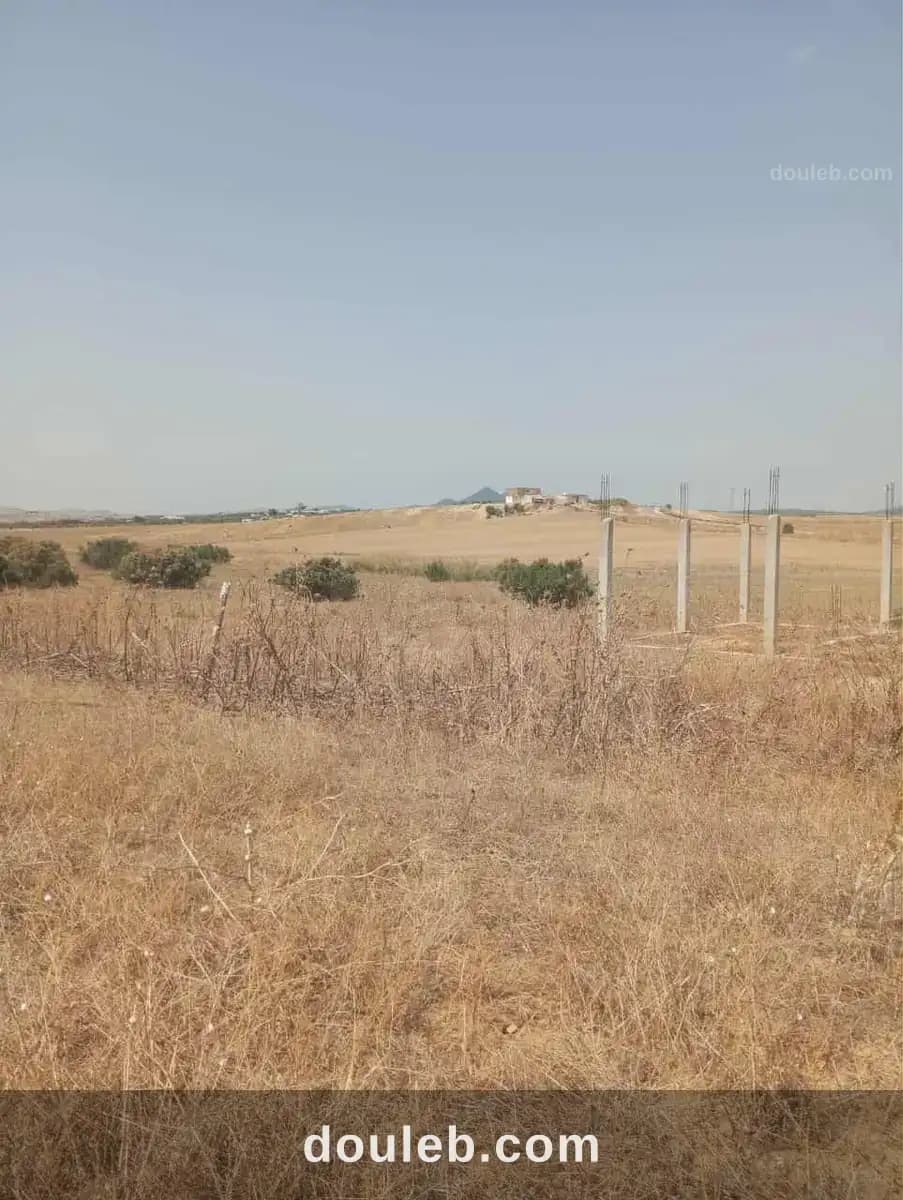 Av terrain 7 hectares route zaghouan hammamet - Miniature 5