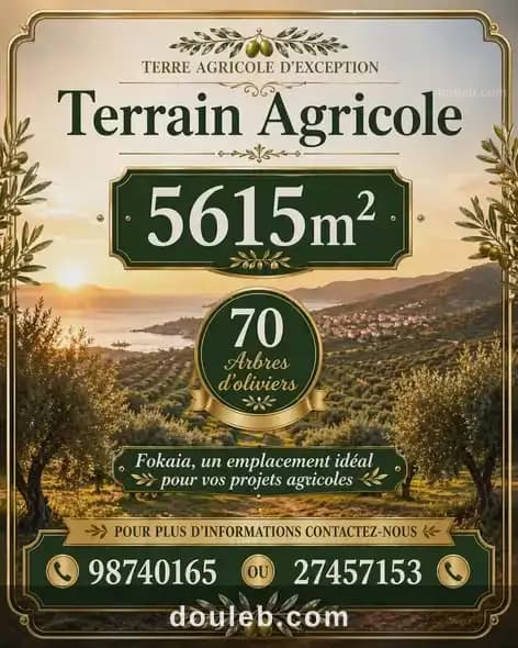 Lot d'invesstisement 5615m sur l'autoroute fokaia - Photo 1