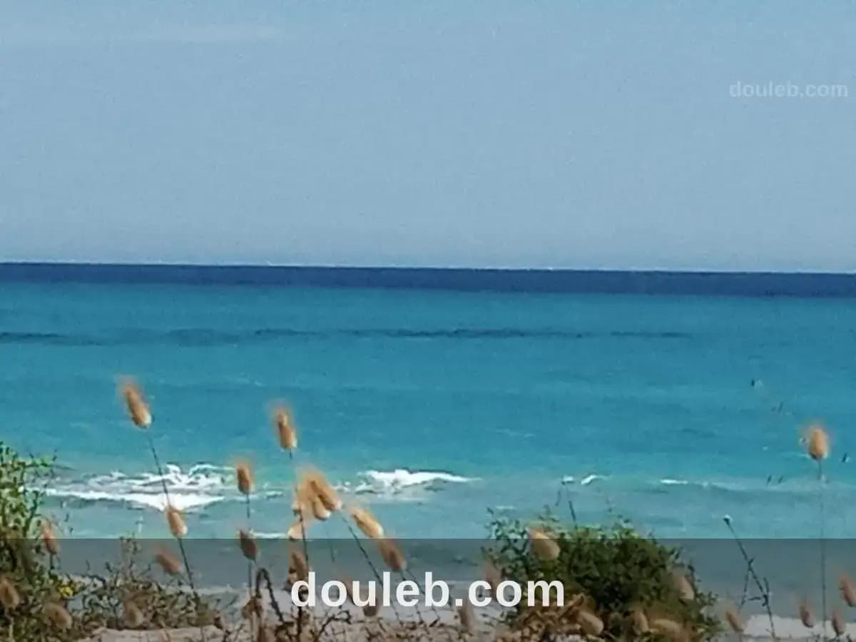 Plage ezzahra - Photo 1