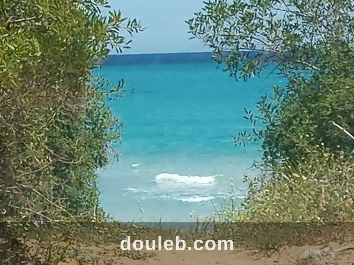 A ne pas rater - Photo 1