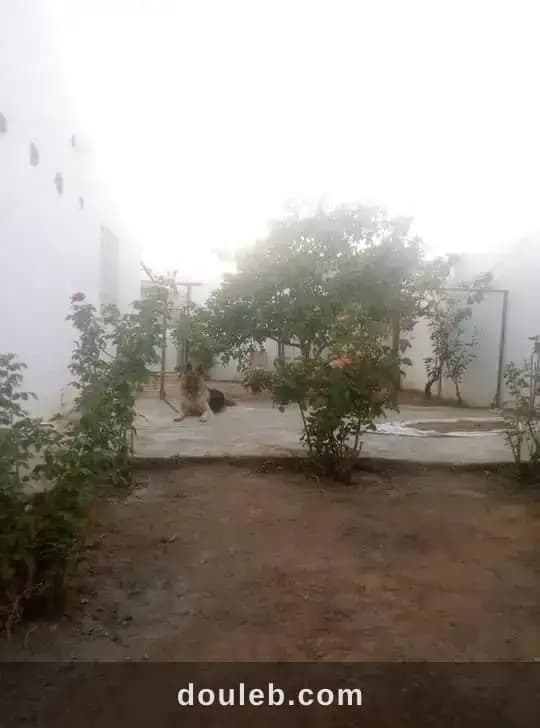 Raoued sidi amor vnt villa ref 2605 - Miniature 3