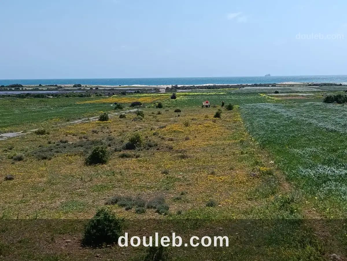 Lots à kelibia azmour - Photo 1