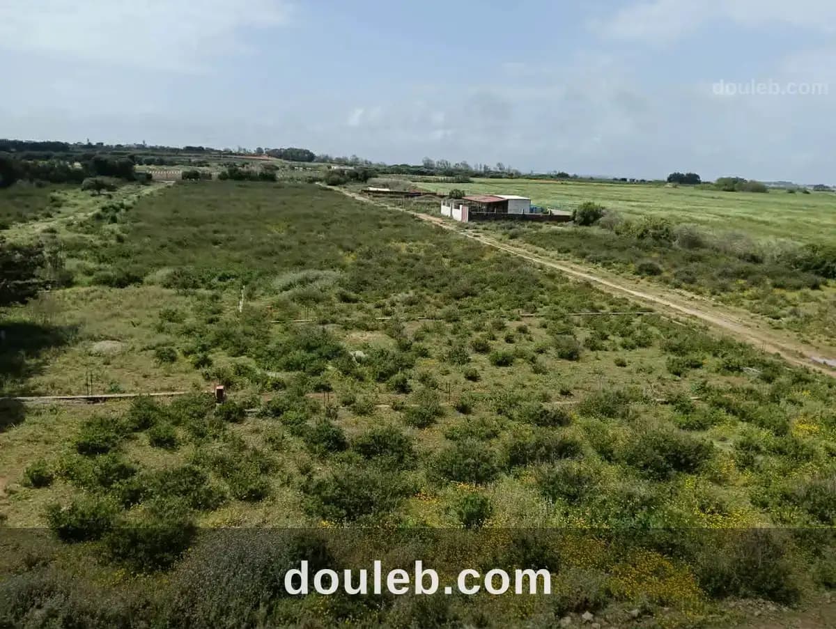 Un terrain kelibia azmour - Photo 1