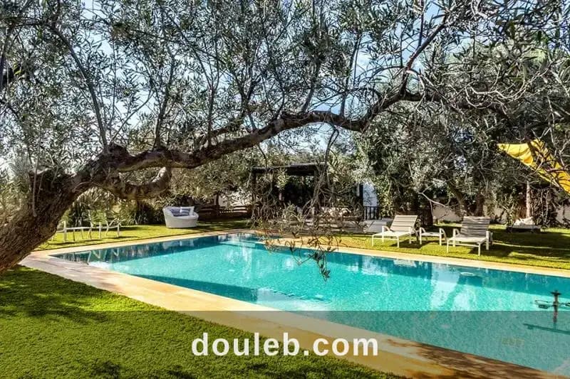 V566 maison dhôte celina f - Photo 1